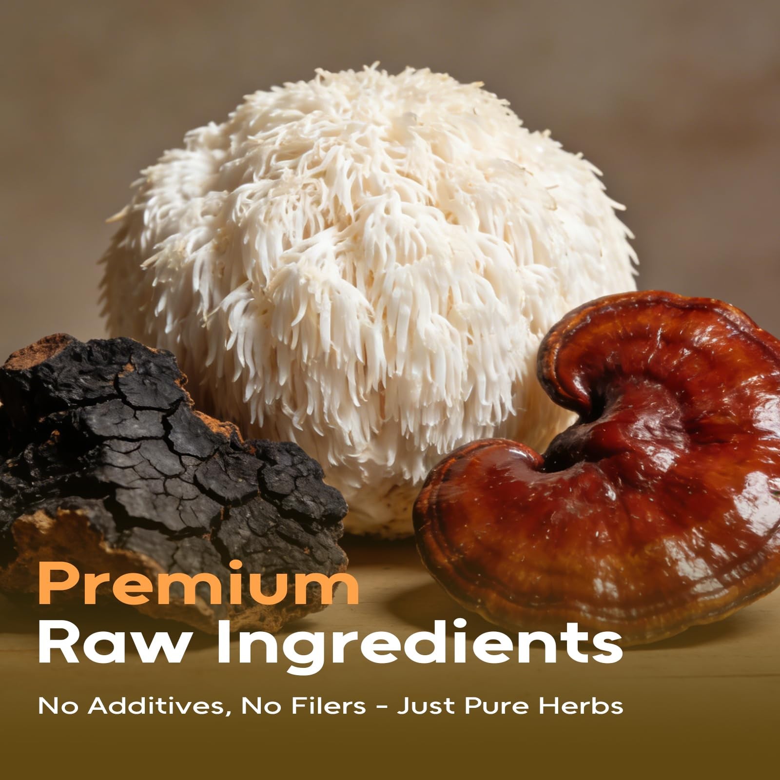 Mushroom Tea, 50 Teabags Mushroom Blend Herbal Tea with Lion’s Mane, Reishi…