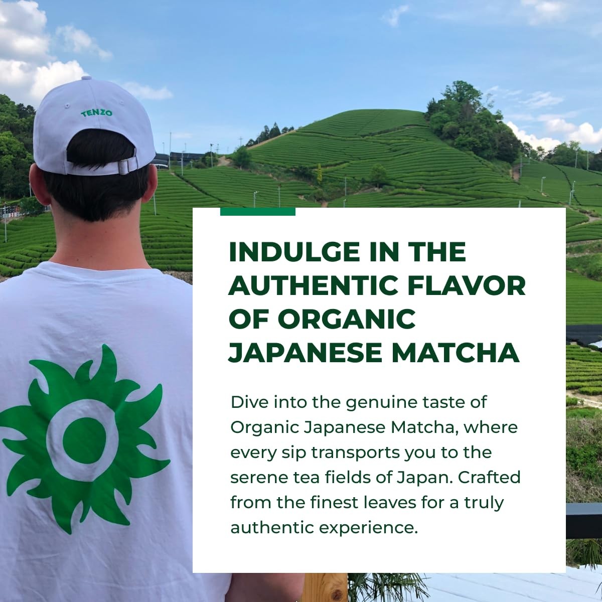 Tenzo Matcha Green Tea – Organic Premium – Authentic Japanese Matcha Tea – La…