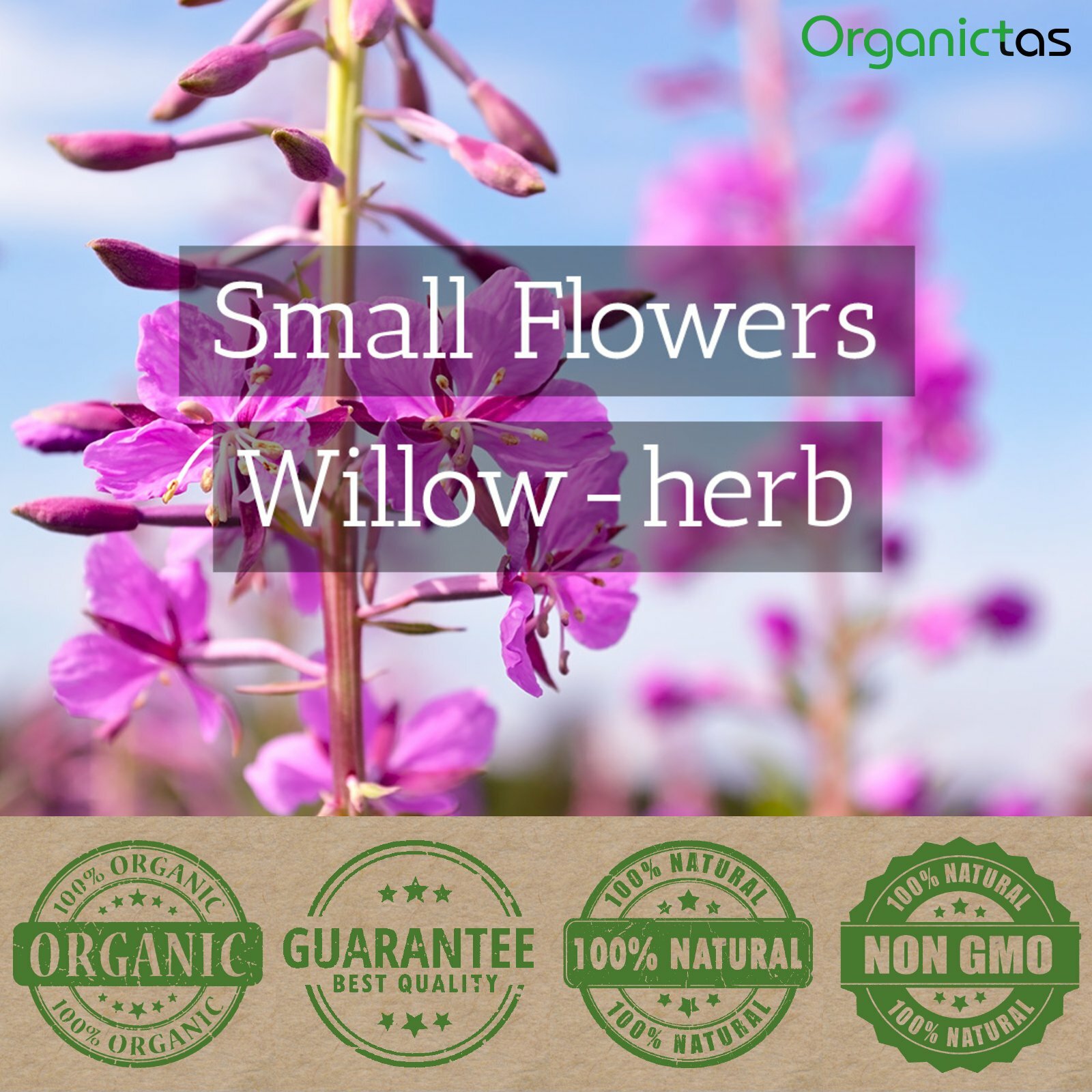 Organic EPILOBIUM PARVIFLORUM Herbal Tea Willowherb Prostate Urinary System 100g