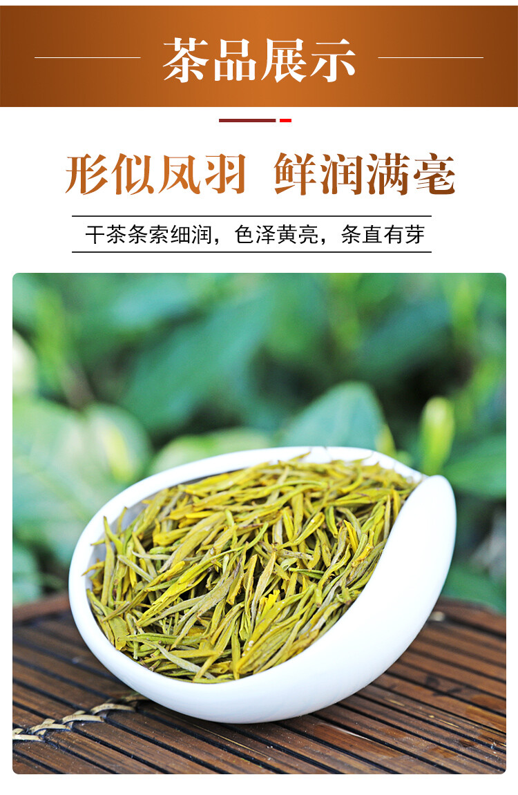 HuangJin Ya Yellow Golden Bud Yu Qian Premium Grade An Ji Bai Pian Green Tea