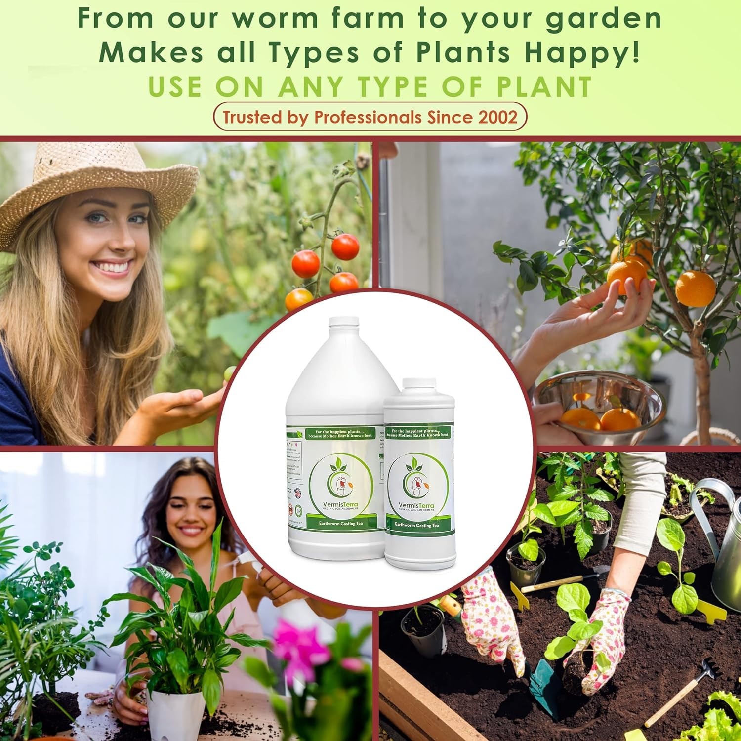 1 Gallon Organic Worm Tea & Kelp Biofertilizer – Nourish Plants & Boost Growth