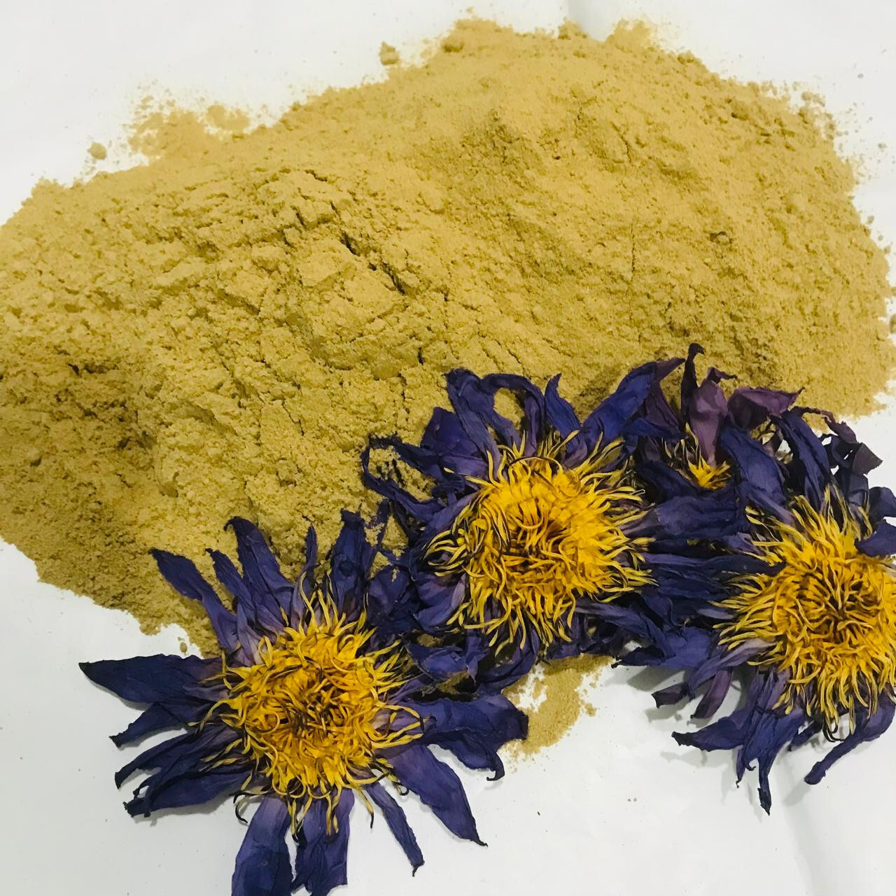Dried Blue lotus Powder Organic Pure Quality Nymphaea Caerulea Flower Herbal Tea