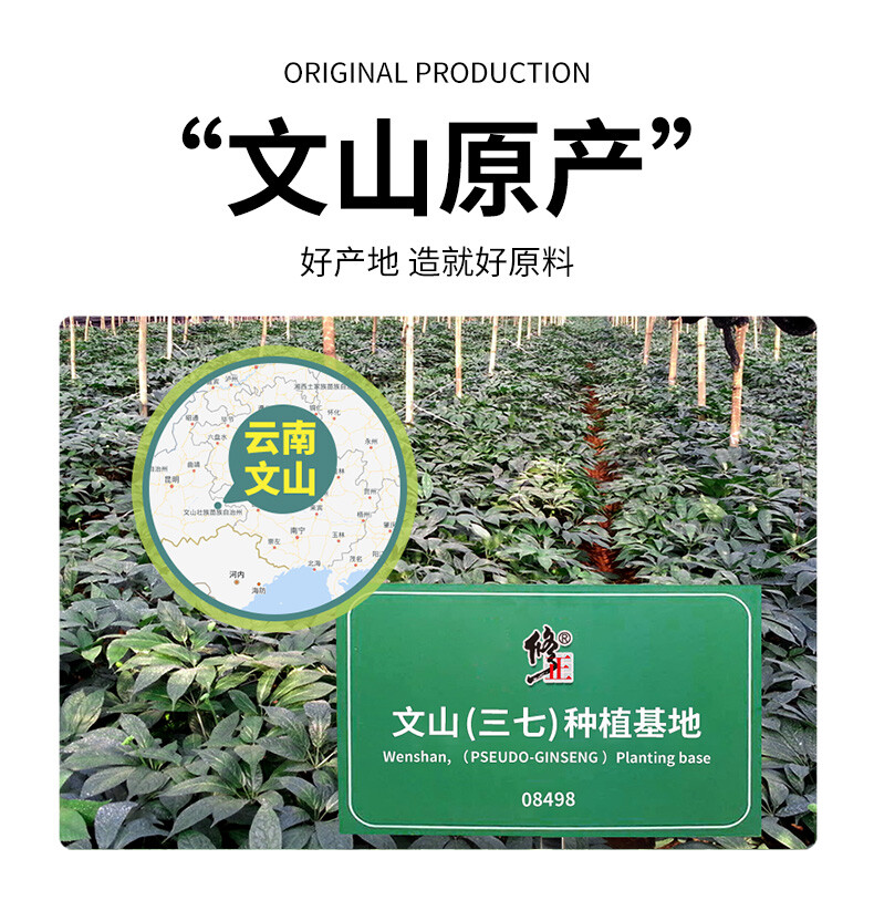 50g China Notoginseng Herbal Tea Xiuzheng Canned Sanqi Powder Powder Health Care