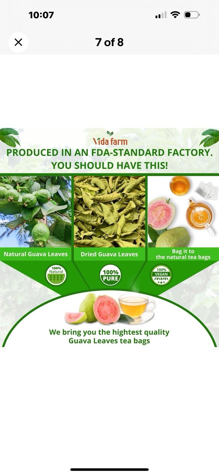 2 PK ~ VIDA FARM 75 Natural Guava Leaves Tea Bags – Dried Guava