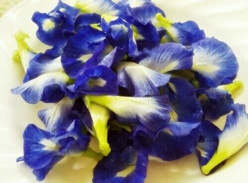 Ceylon Dried Butterfly Pea Tea Nil katarolu Organic 100% Pure Food coloring 50g