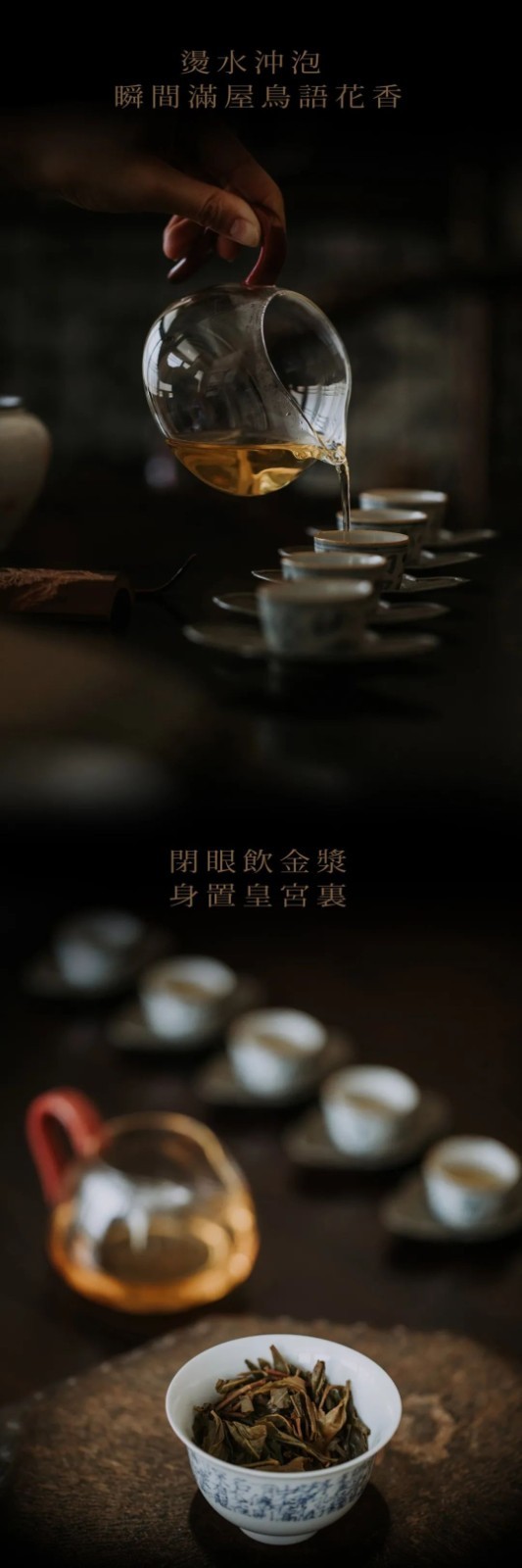 2020 Lang Yue Zhong Tian Yiwu Extra Large Ancient Tree Raw 357g