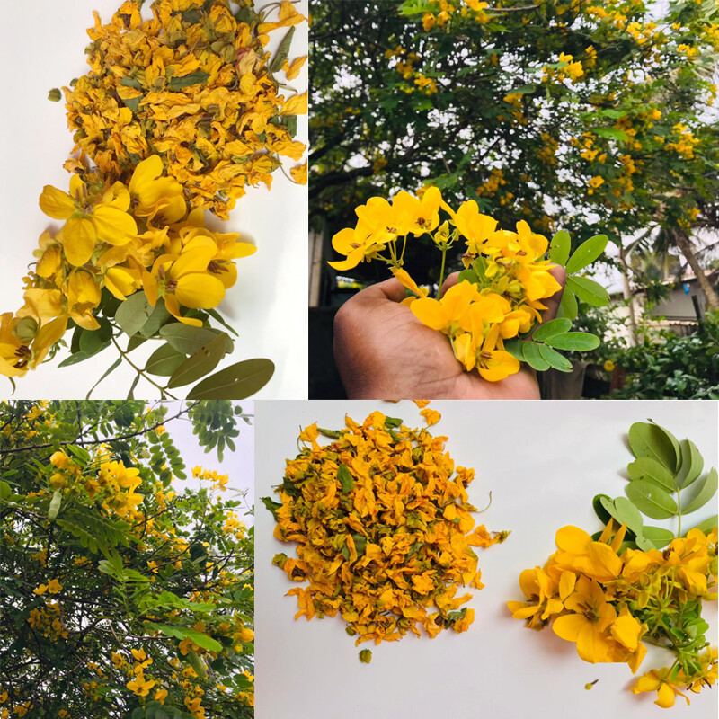 RANAWARA MAL Natural HERBAL Flower CASSIA AURICULATA 100% CEYLON Ayurveda 200g