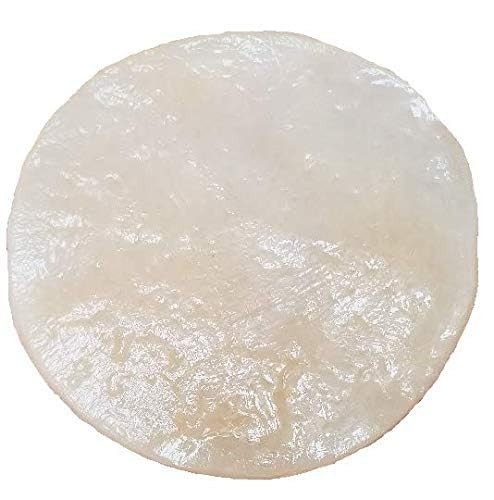 Matcha Kombucha Scoby Starter Kit with Starter Tea to Ferment Culture Healthy