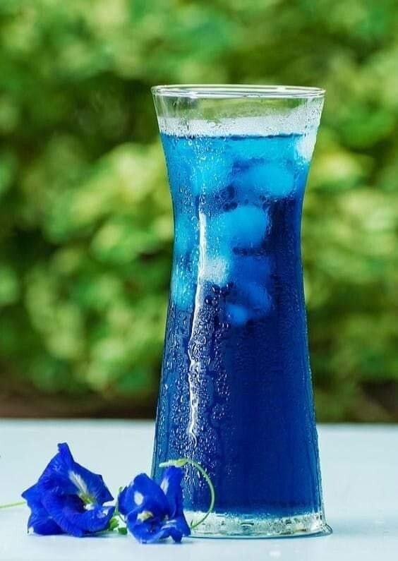 Premium Dried BUTTERFLY PEA Flowers Thai Tea Ayurveda NIL KATAROLU Healthy Drink