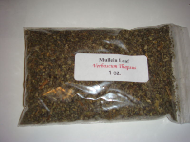 1 oz. Mullein Leaf (Verbascum Thapsus)