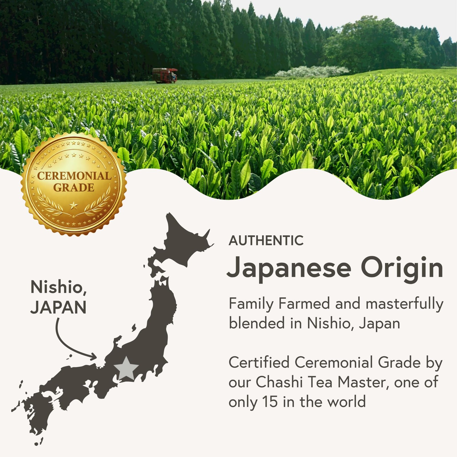 Matcha (30g) – Ceremonial Authentic Japanese Matcha Green Tea – Matcha Green …