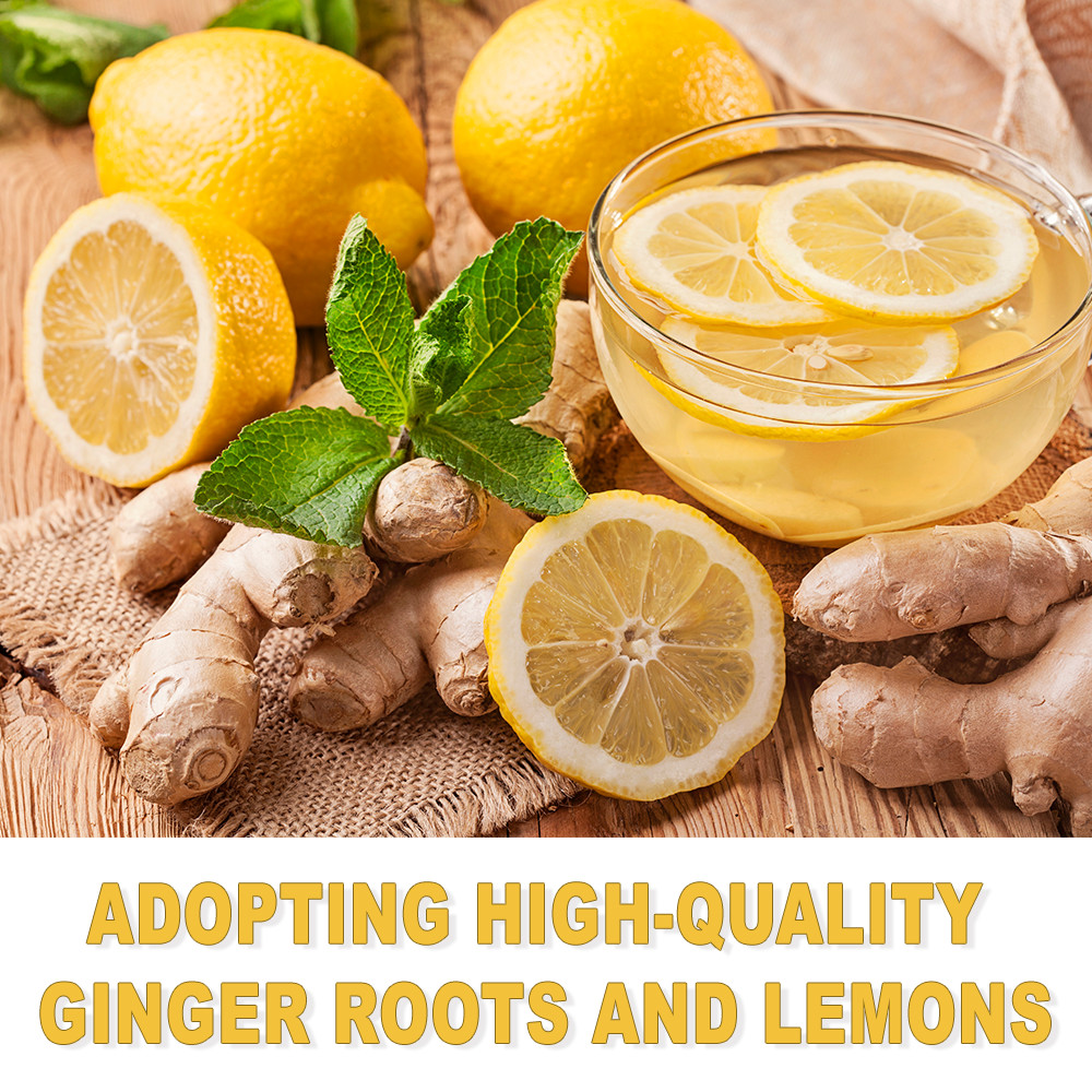24Bags Turmeric Ginger Cinnamon Tea 100% Natural Support Brain Weight Sleep-Skin