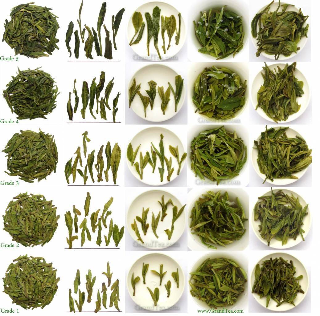 Shi Feng Supreme Dragon Well – Spring Harvest, Before Ming Green Tea Grandtea