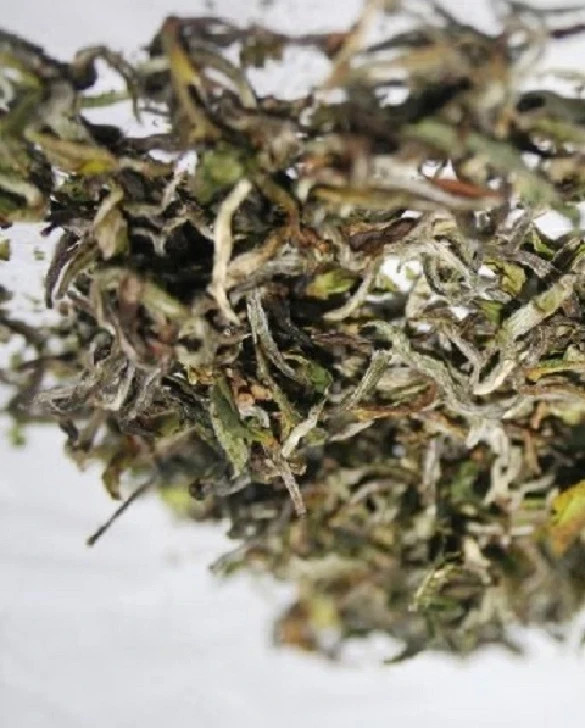 Darjeeling Tea (FRESH FIRST FLUSH 2026) GIDDAPAHAR SFTGFOP I SPECIAL 2 Kg