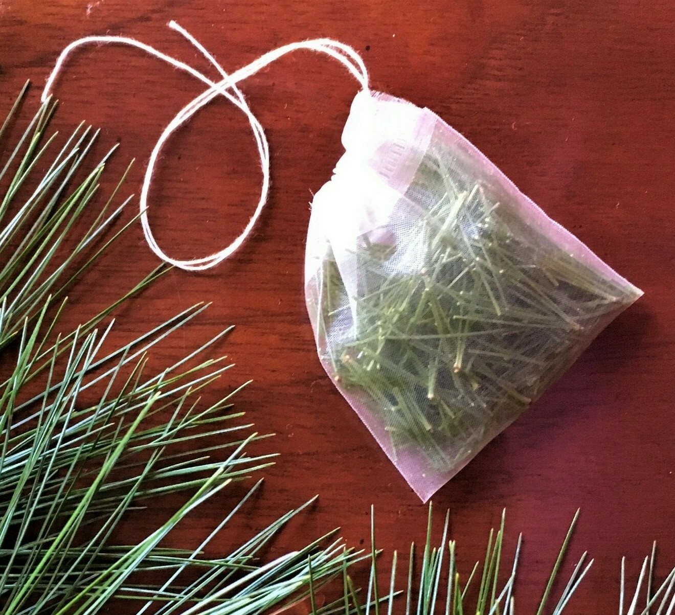 Eastern White Pine Needles for Tea, Fresh Cut, Blue Ridge Mountain Grown, 4 oz