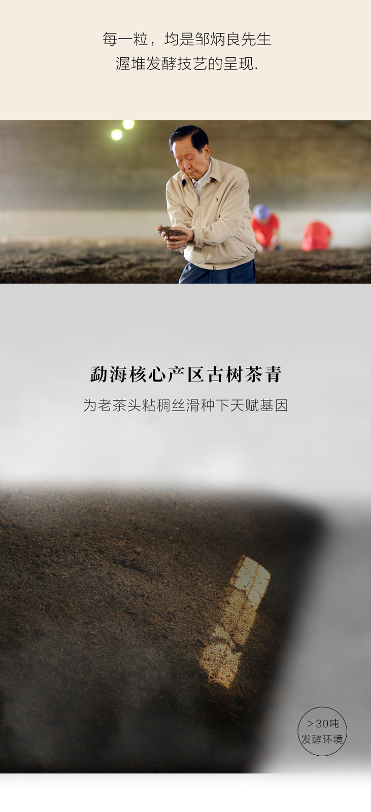2020 Haiwan Lao Tong Zhi Ripe Puer Lao Cha Tou Five-Year Chen Shu Pu’er Tea 200g
