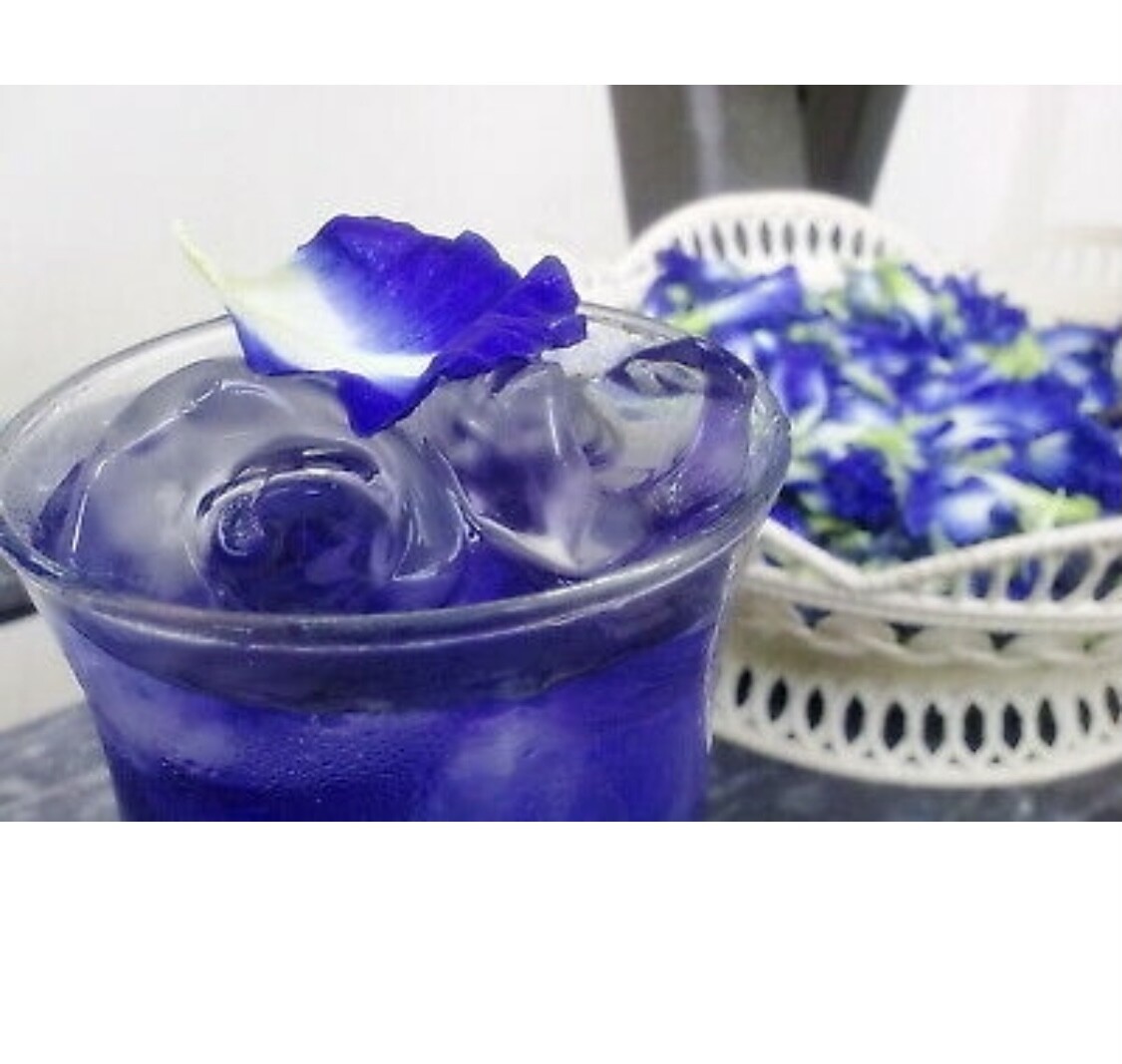 Thai Dried Organic Butterfly Pea Tea PURE Flower, 100g, 100% Natural – Loose Tea