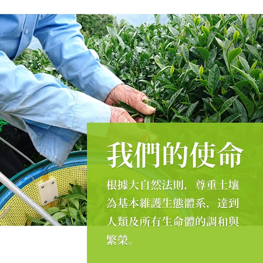 Taiwan unique tea,Alishan fragrant fresh oolong tea,150g*4
