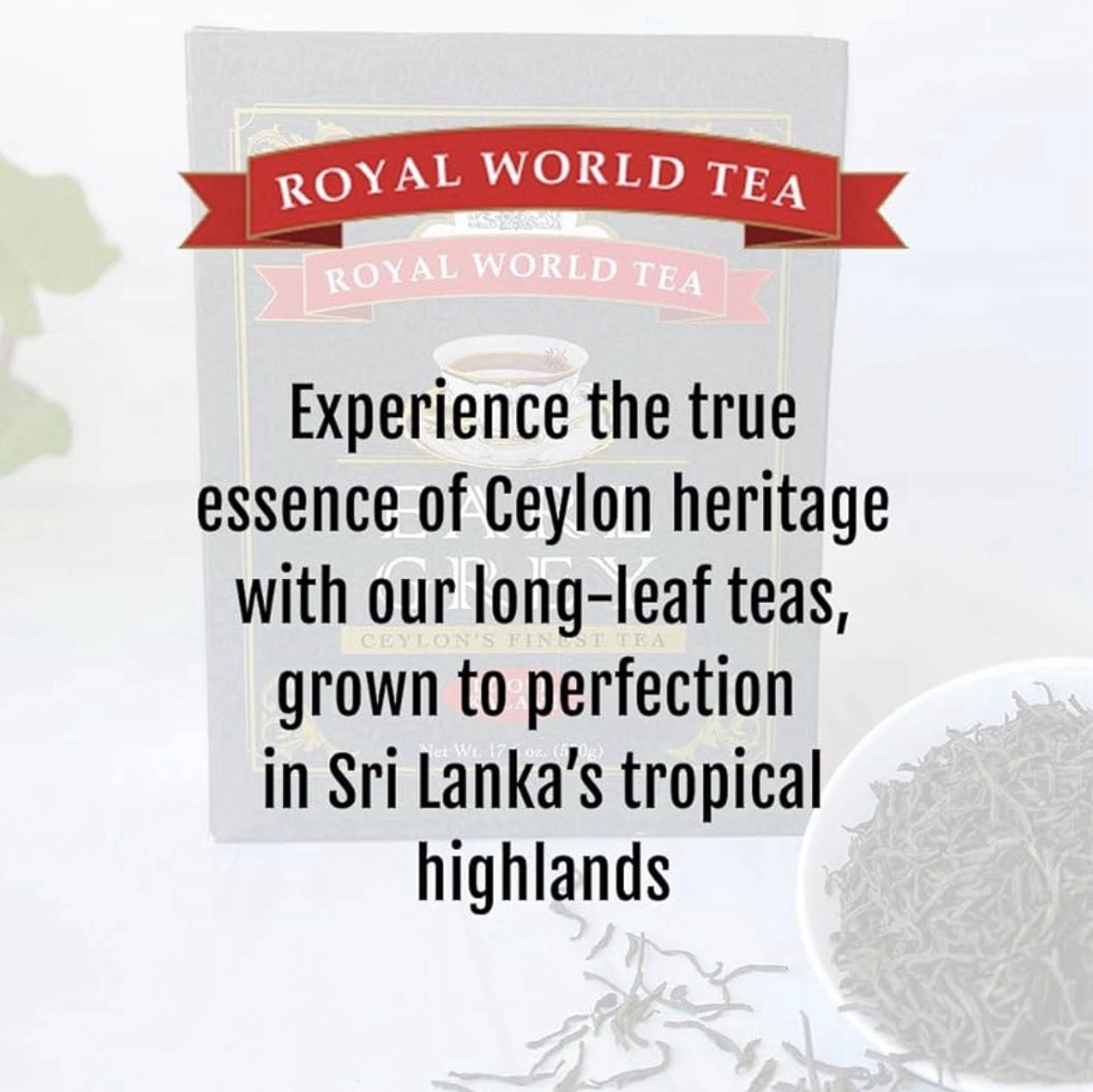 Royal World Earl Grey Loose Leaf Black Tea 17.6oz Bergamot Ceylon Tea