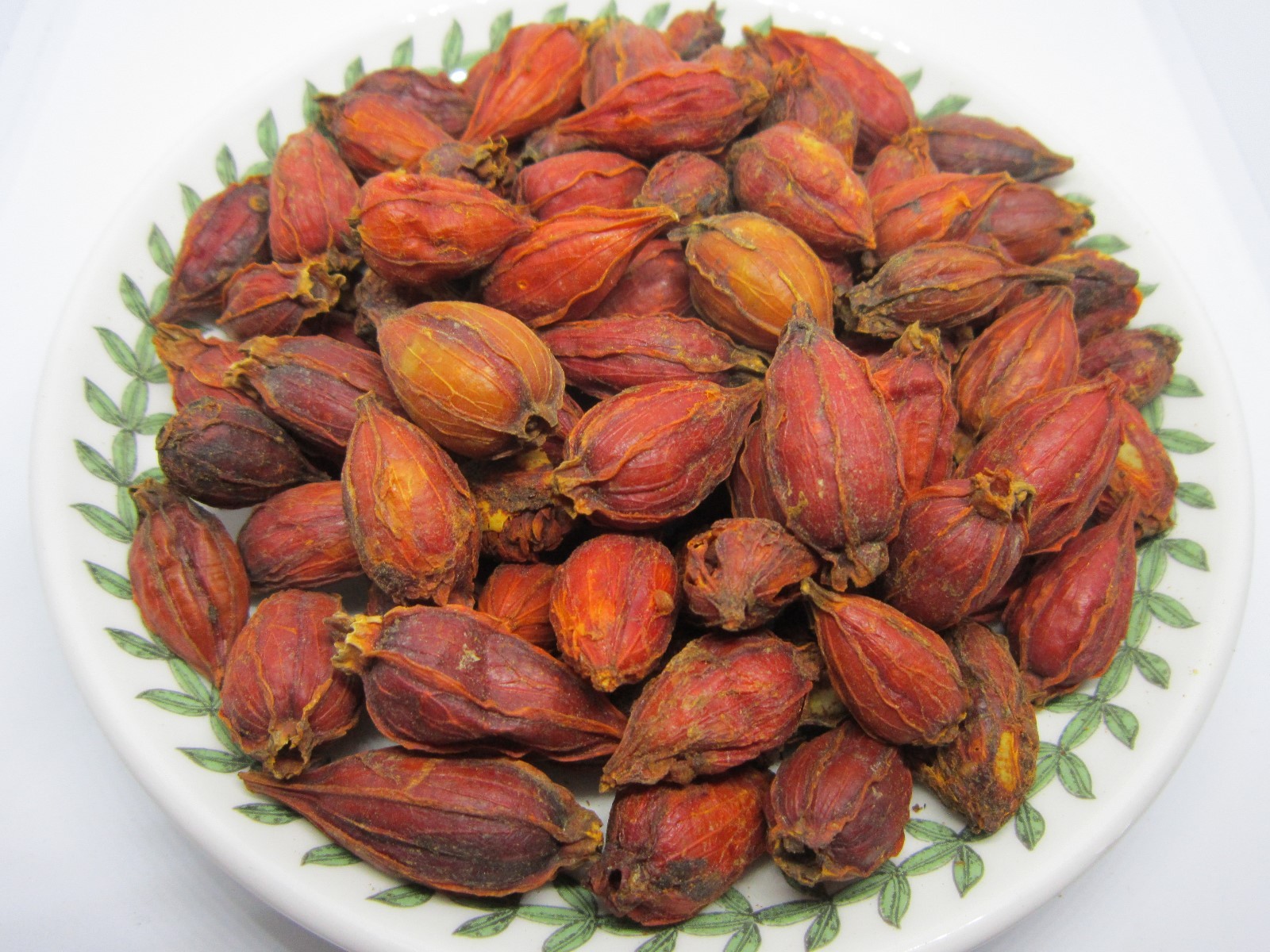 Gardenia Fruit – Dried Gardenia Fruit from 100% Nature, Wild Crafted