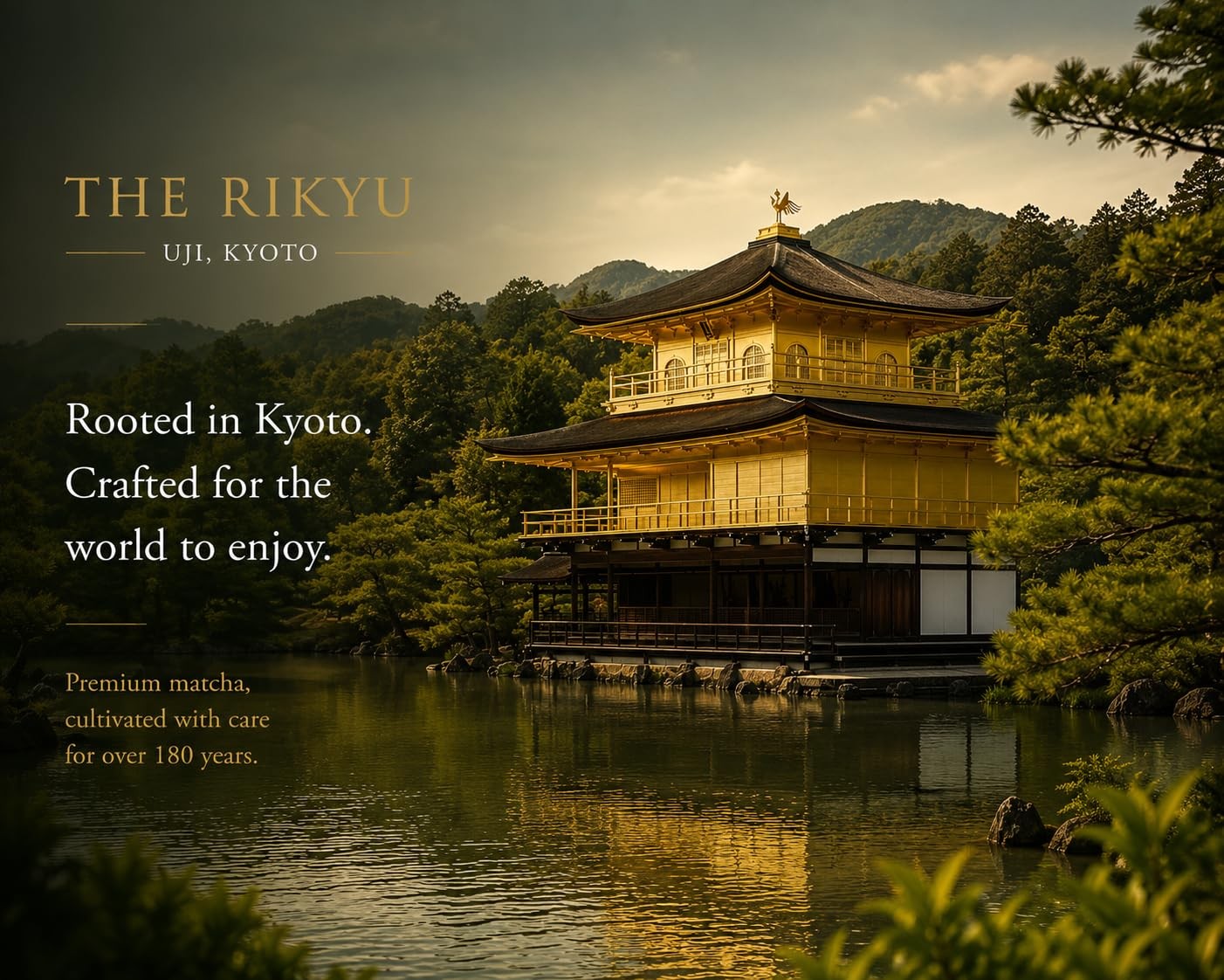 THE RIKYU Miyabi Uji Matcha – Ultra Premium Kyoto Uji Matcha – First Harvest …