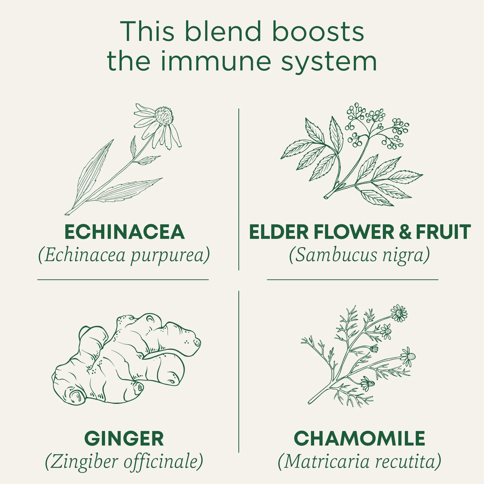 Traditional Medicinals, Organic Echinacea Elder 16 Tea Bags