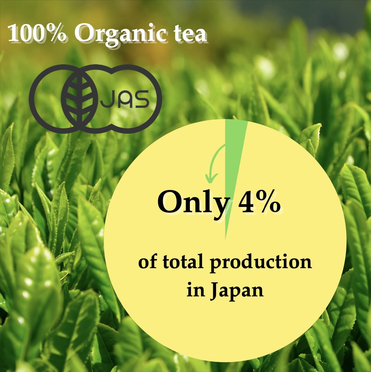 NAGOMI Organic Kukicha – Loose Leaf Japanese Twig Green Tea, 70g/2.47oz.
