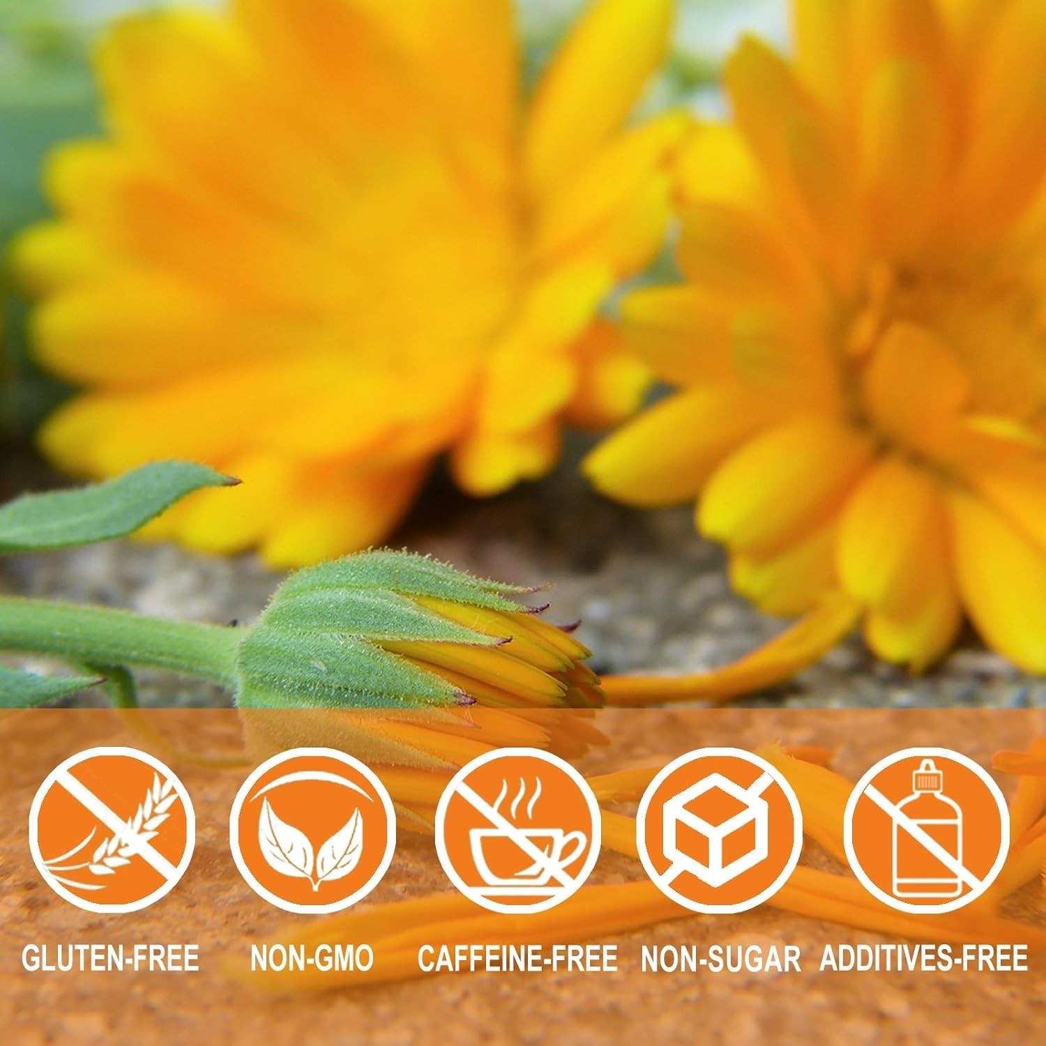 Calendula Tea Bags, 36 Count – Natural, Caffeine-Free Infusion for Soothing Sip