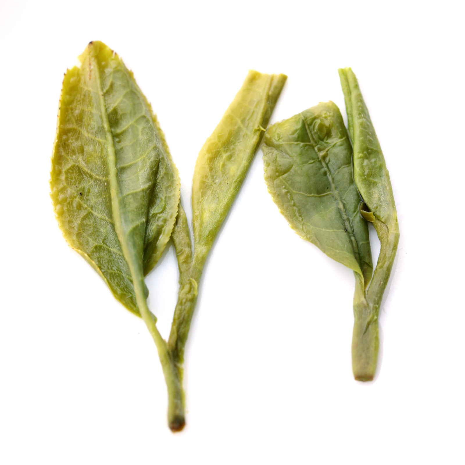 GOARTEA Supreme Xihu Longjing Dragon Well Chinese Green Tea Spring Loose Leaf