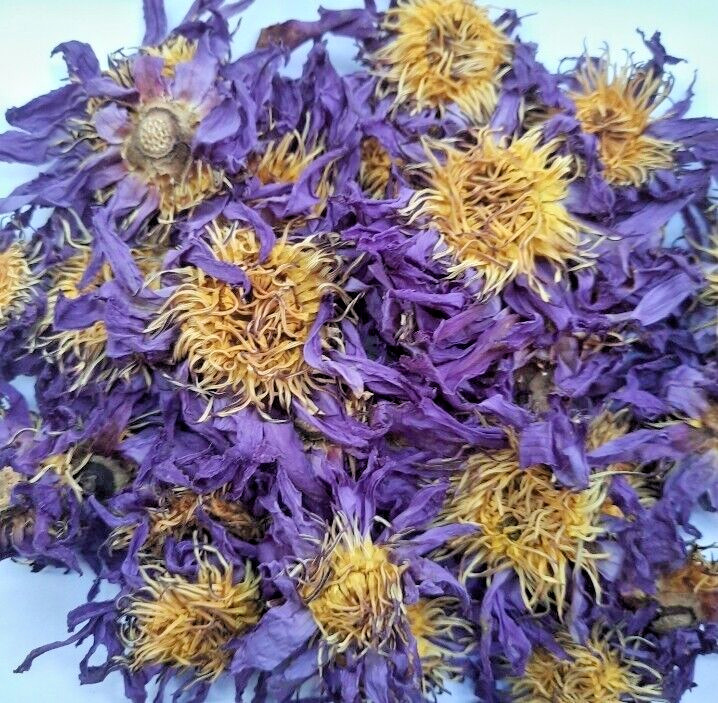 Dried Blue Lotus Flower Nymphaea Caerulea Natural Hand Picked Herbal Flowers