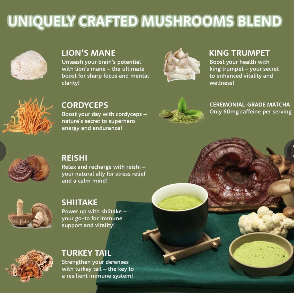 MycoMood Matcha Mushroom Latte Powder Vegan Tea & Infusion 300g 10.50 oz
