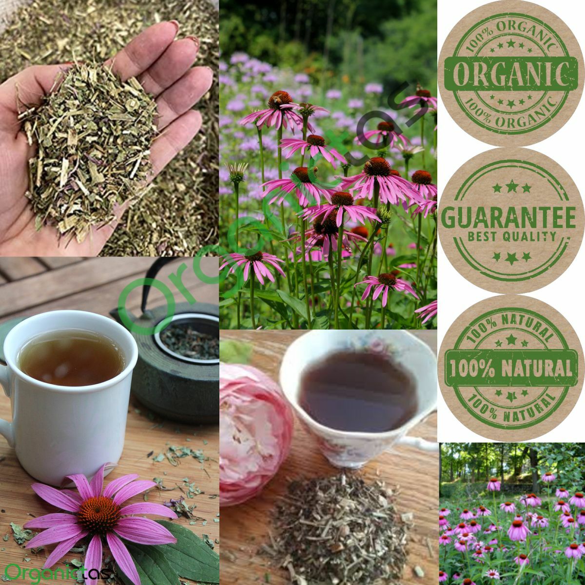 Organic Echinacea Loose Tea, 100% Pure Purple Coneflower (Echinacea purpurea)