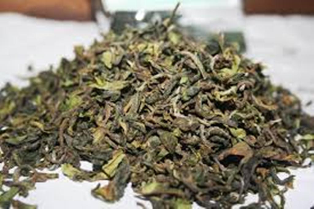 Darjeeling Green Tea (FRESH SECOND FLUSH 2024) ARYA ORGANIC GREEN TEA 1LB