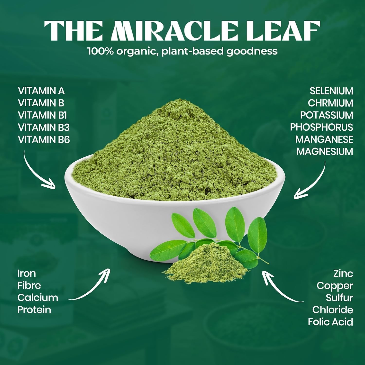 OVIDA Organic Moringa Leaf Powder Smoothie Tea Blend Green Superfood 4oz