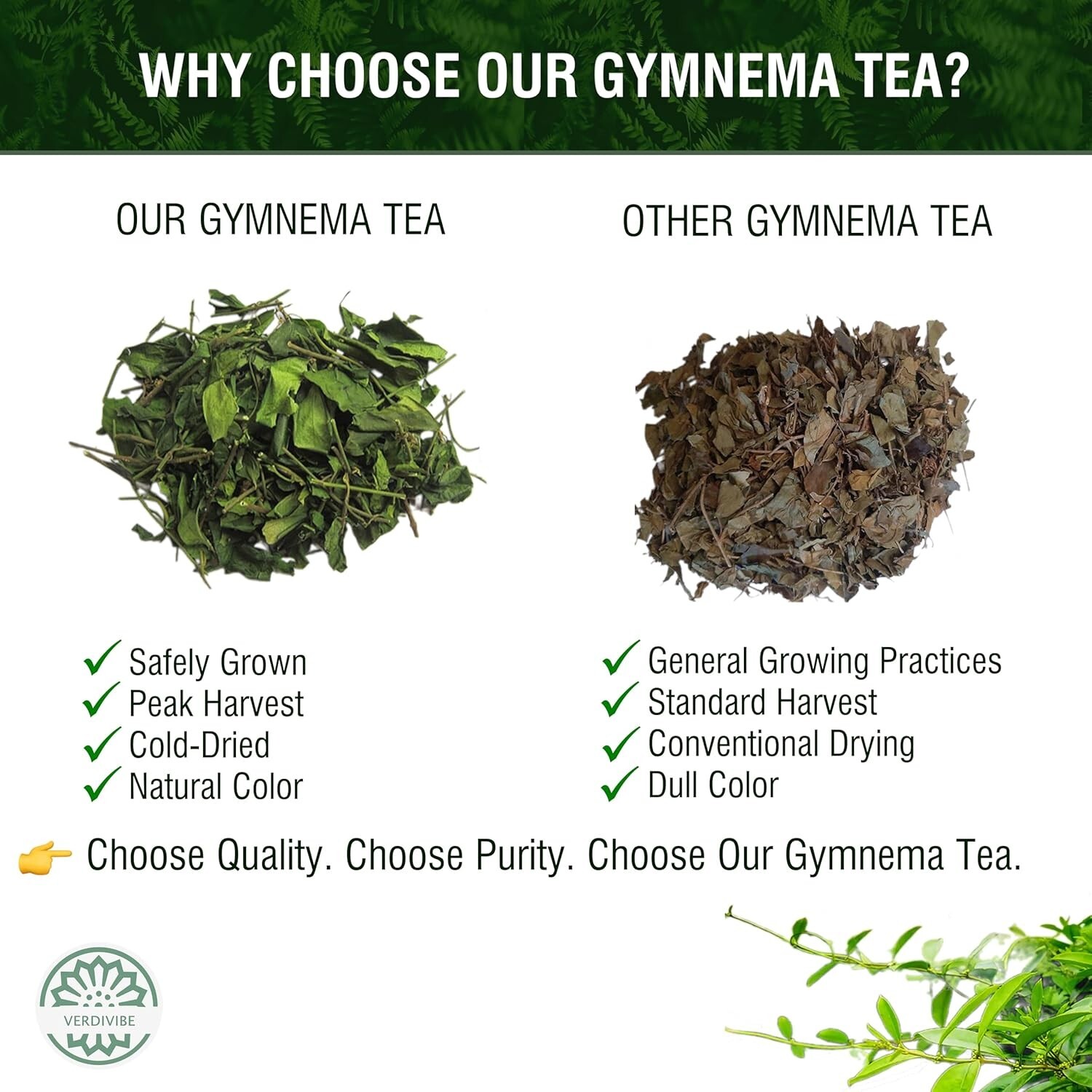 Gymnema Tea Bags for Diabetics – COLD-DRIED for Maximum Freshness and Nutrien…