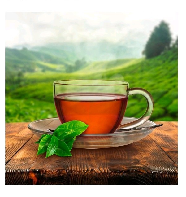 Red Rose Orange Pekoe Tea Bags 72ct, (Imported from Canada)