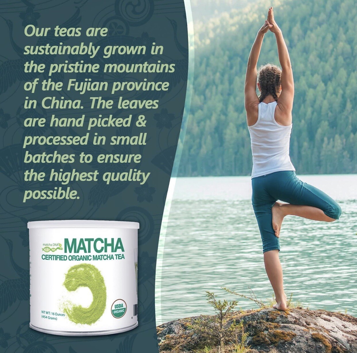 Matcha DNA Organic Matcha Green Tea Powder Unsweetened 100% Natural 1LB