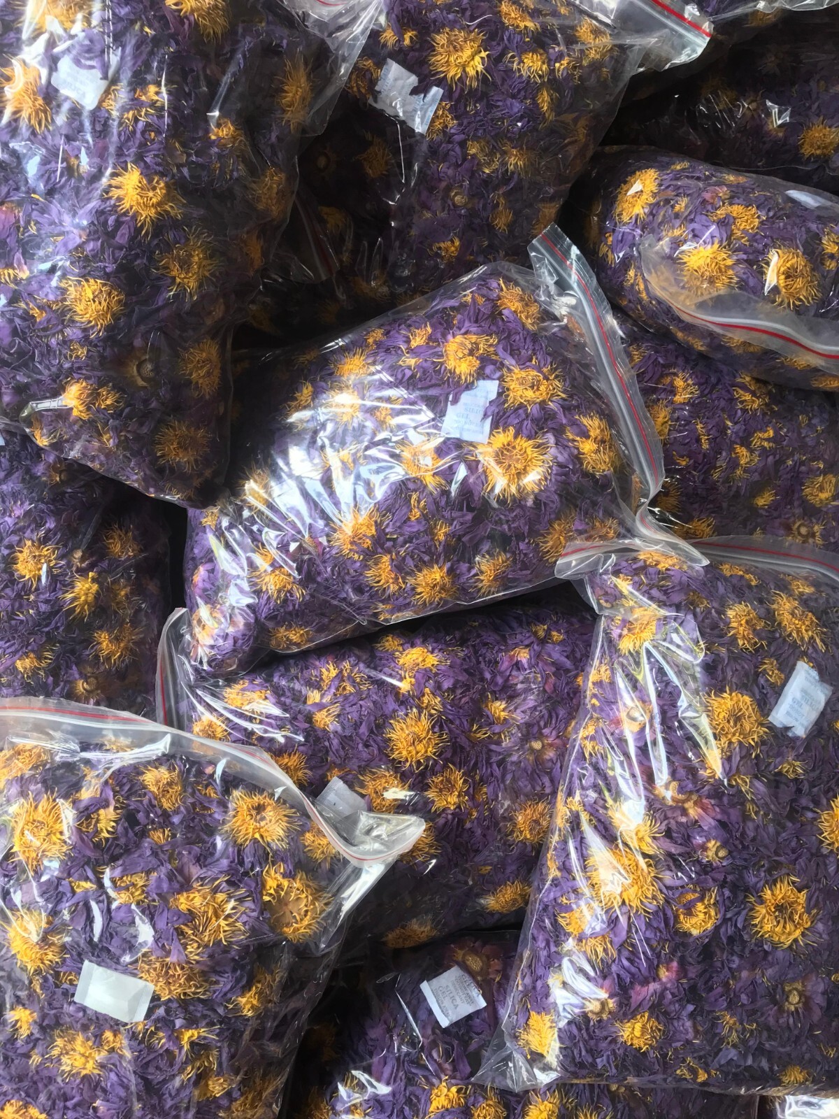 Dried BLUE LOTUS nymphaea caerulea Egyptian Organic Whole Flowers Herbal Tea