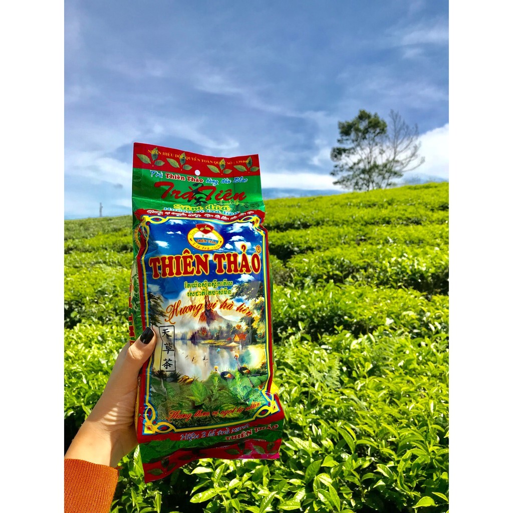 Thien Thao Vietnamese Pandan Green Tea – Tra Sam Dua Pha Tra Da 300g (10.5oz)