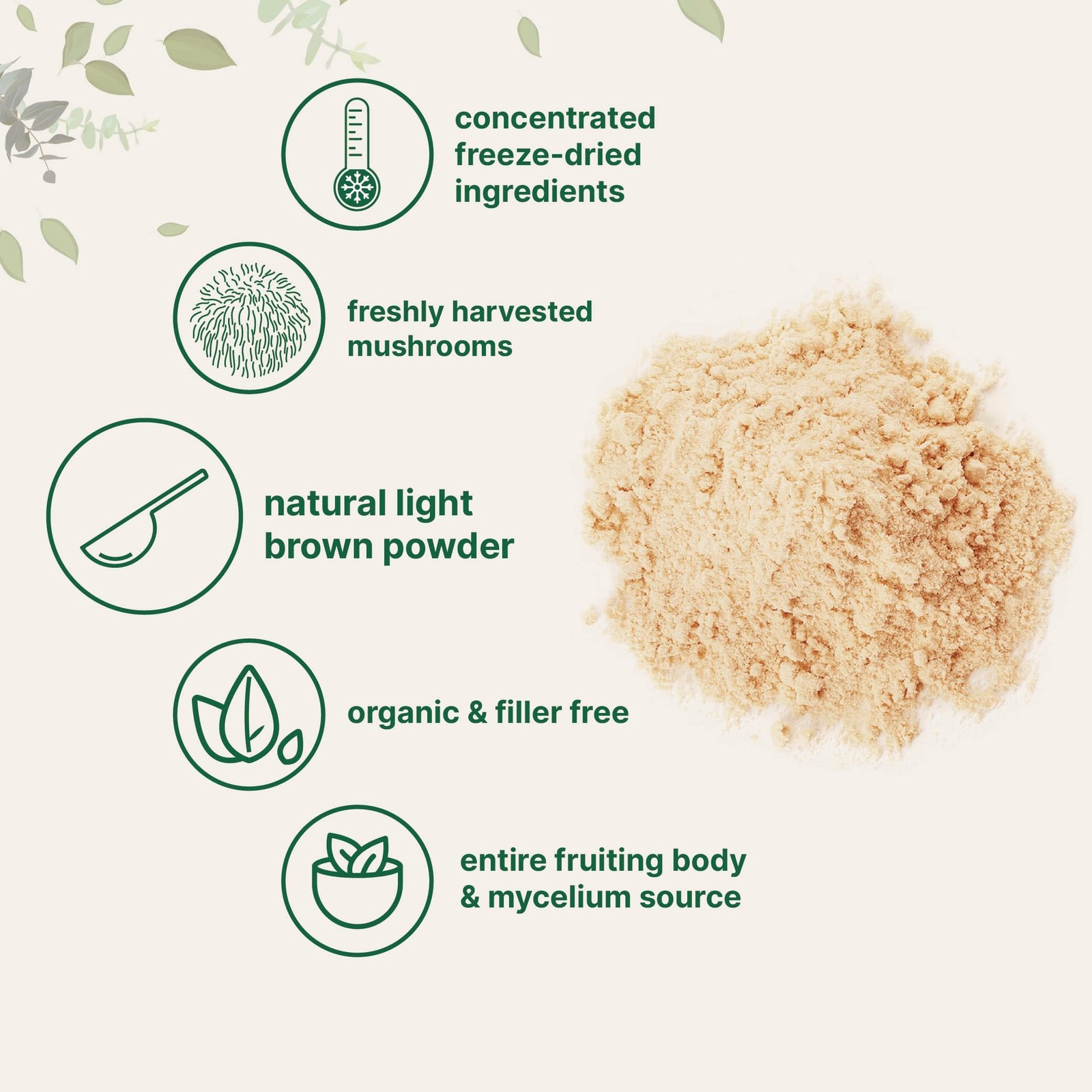 Organic Lion’s Mane Mushroom Powder, 16oz | Pure Fruiting Body Superfood | Su…