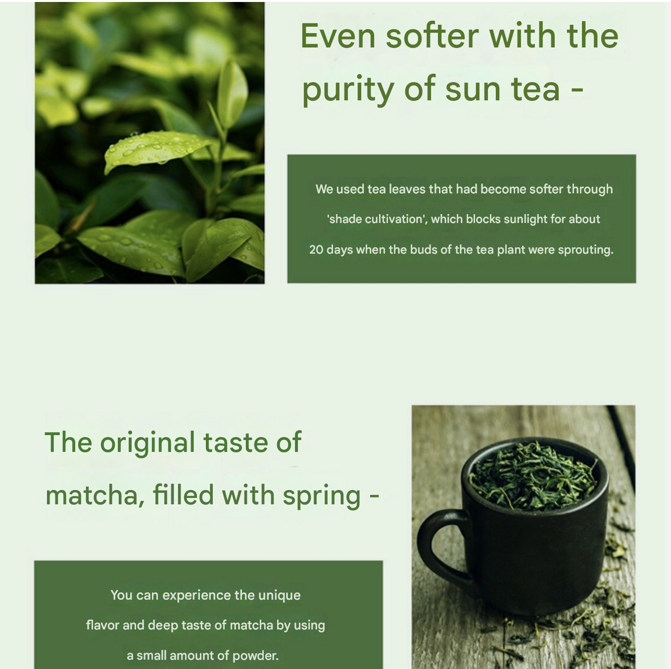 I’myo Jeju Matcha Green Tea Powder 500g 17oz. / Latte, Yogurt, Ice Cream, Baking