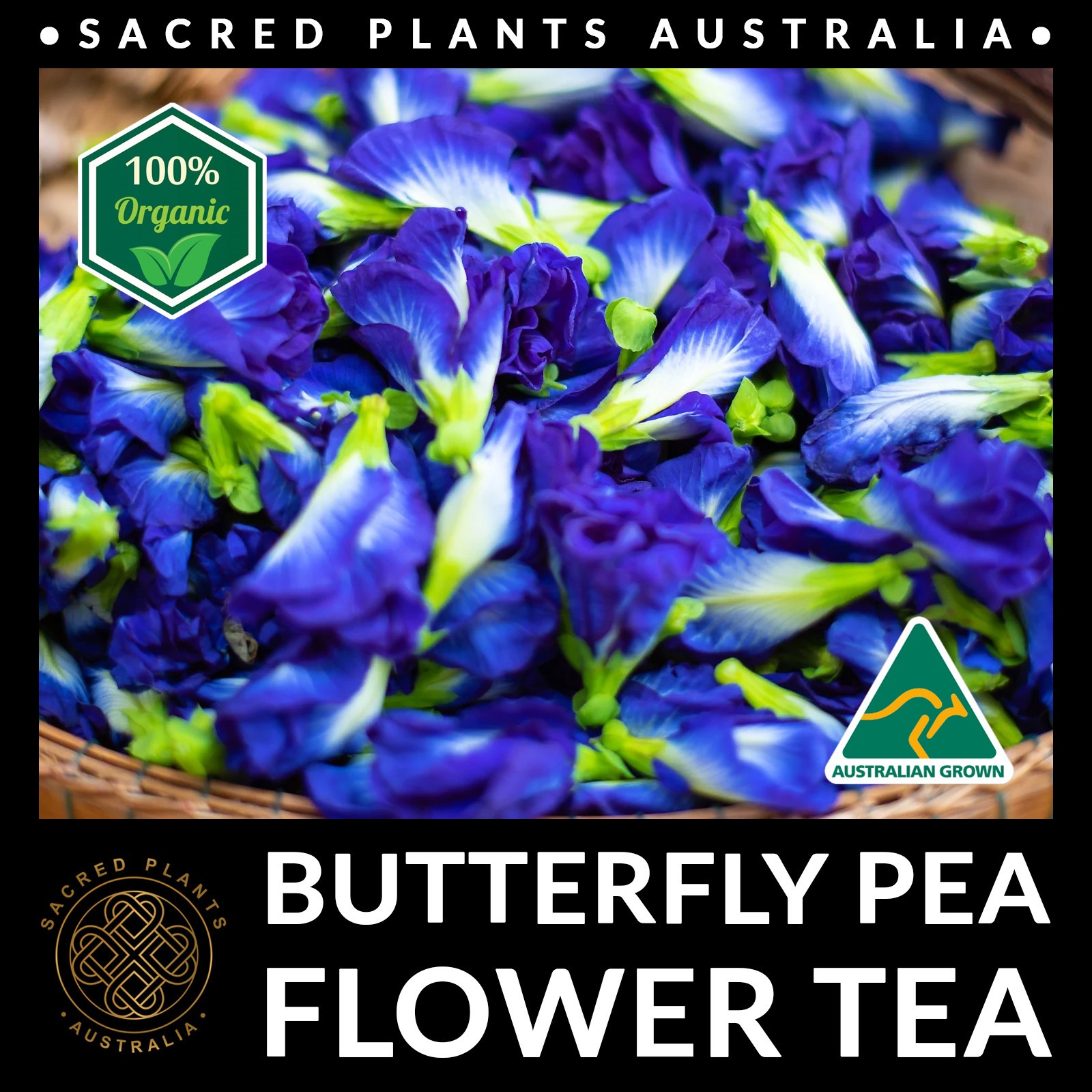 BUTTERFLY PEA Flower Tea 10g | Clitoria ternatea Loose Leaf Organic Natural