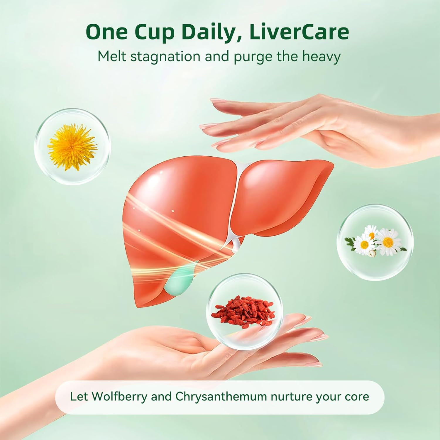 Dandelion Wolfberry Tea – Liver & Kidney Detox Herbal Tea, Summer Cleanse with C