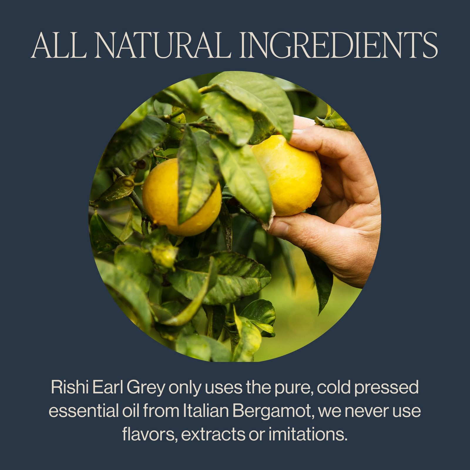 Rishi Tea Earl Grey Tea Organic Loose Leaf Pure Black Tea with Bergamot Oil,…