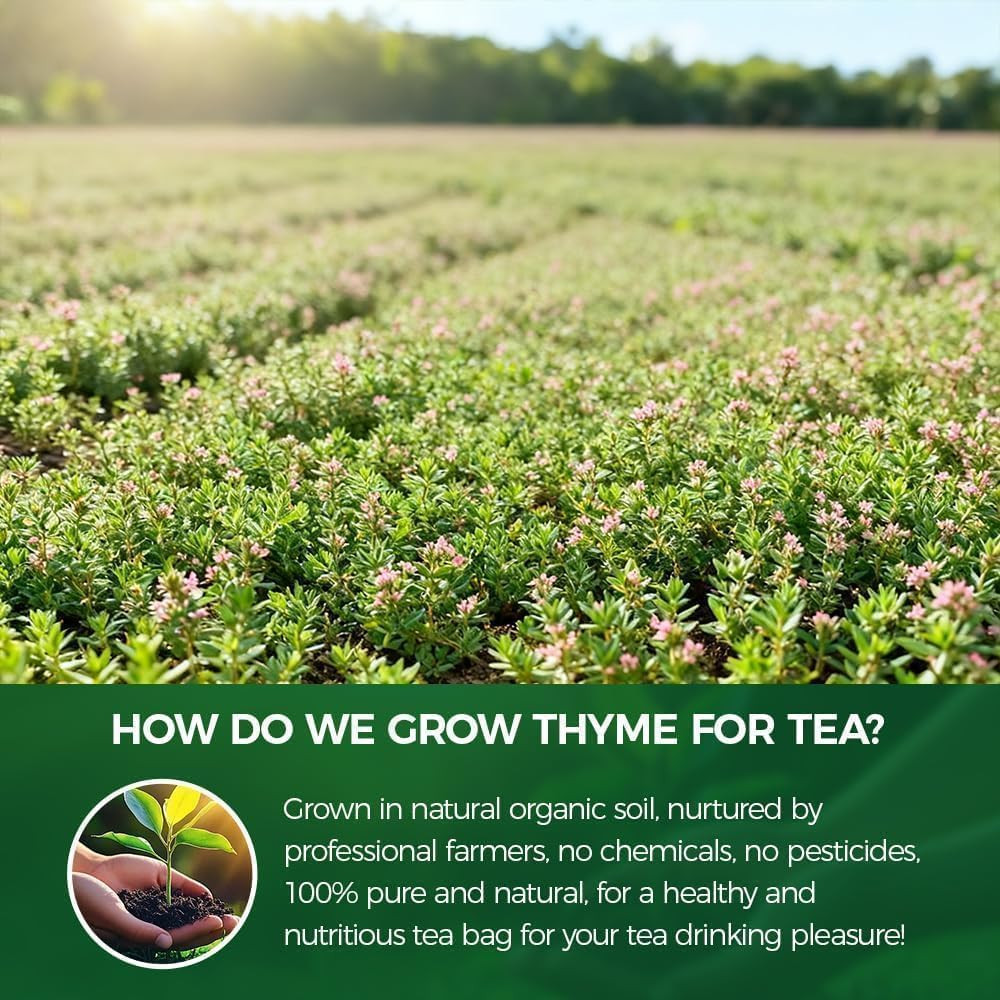 WOTIHA 120 Count Premium Thyme Leaf Tea Bags – 100% Natural & Pure Herbal Tea, S