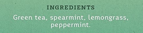 Stash Tea Moroccan Mint Green Tea, Box of 100 Tea Bags (Packaging May Vary)
