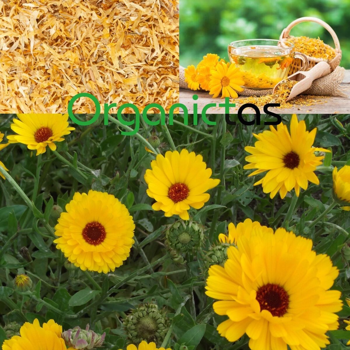 Calendula Petal Tea Organic & Dried Calendula Flower Petals Tea Premium Quality