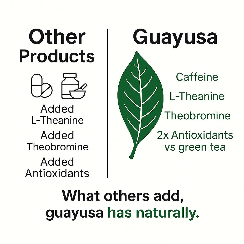 Pacha Guayusa Tea 2LB Organic Loose Leaf 66mg Caffeine Energy Blend