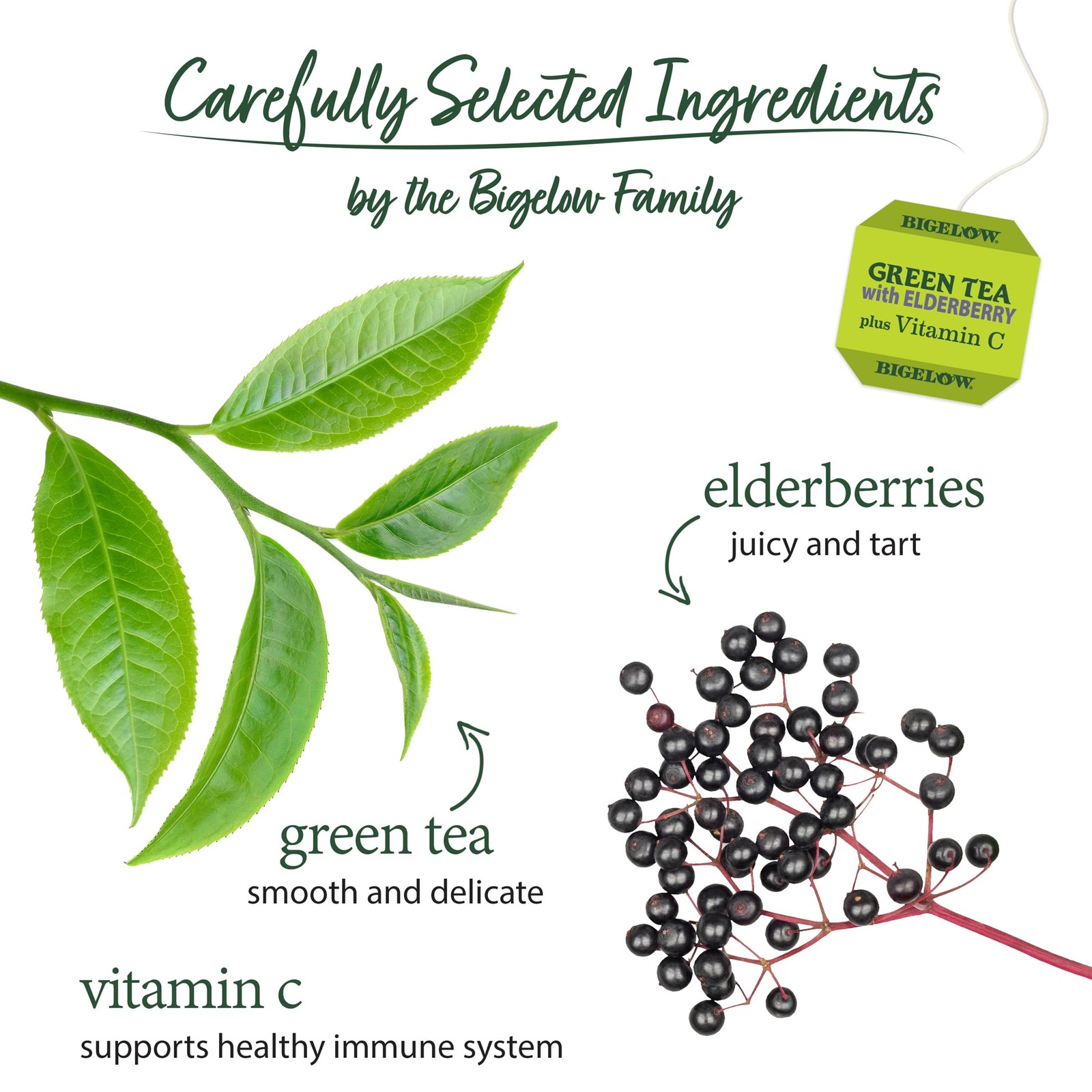 Bigelow Tea Green Tea with Elderberry Plus Vitamin C, Caffeinated Tea with…