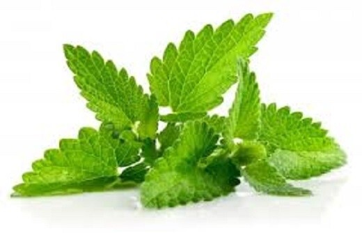 Chocolate Mint Handmade 3oz Leaf Tea